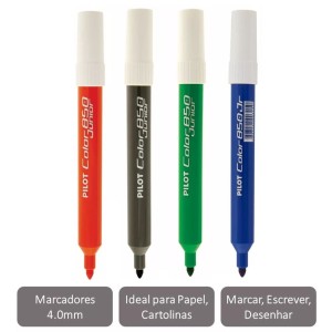 Caneta Hidrografica Color 850 Jr PILOT