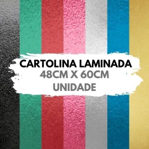 CARTOLINA LAMINADA 48X60 UNIDADE