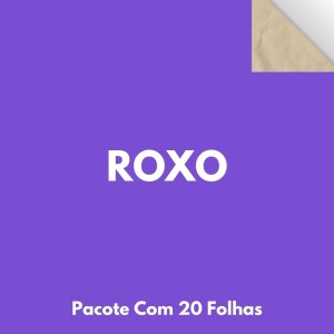 Papel Cartao 48X66cm Pacote Com 20 Folhas