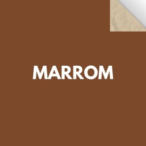 Papel Cartao Folha 48X66cm - Unidade