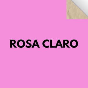 Papel Cartao Folha 48X66cm - Unidade