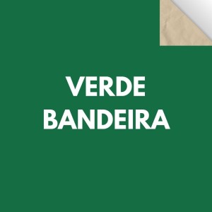 Papel Cartao Folha 48X66cm - Unidade